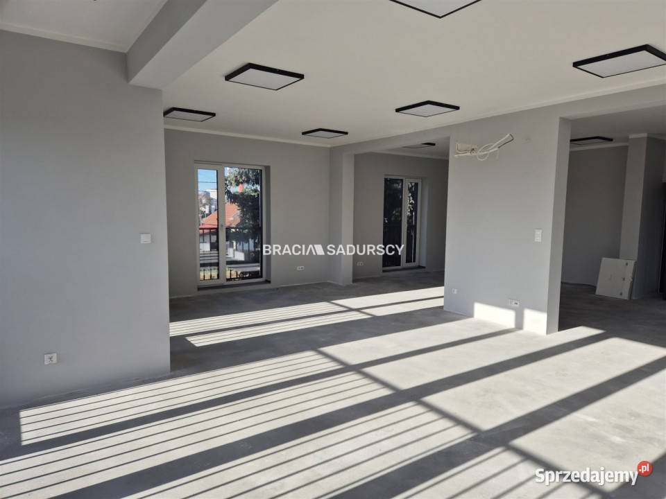 Lokal Kraków Łęg 310m2