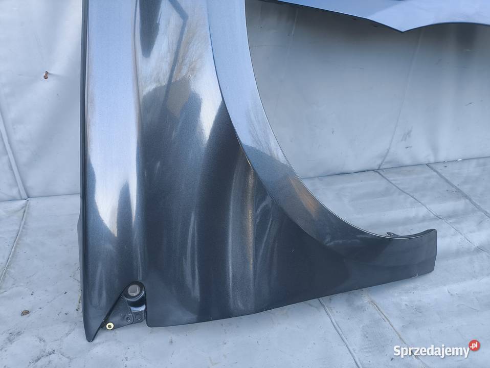 RENAULT LAGUNA III 3 BŁOTNIK LEWY PRAWY PRZEDNI mazowieckie Radom