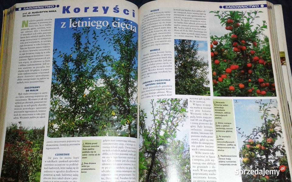 Twój ogród na to zasluguje Działkowiec 2004 12 Chełm sprzedam