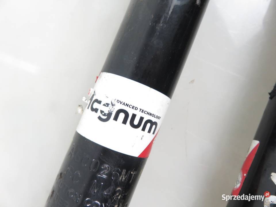 AMORTYZATORY TYŁ CITROEN C2 AGC026MT