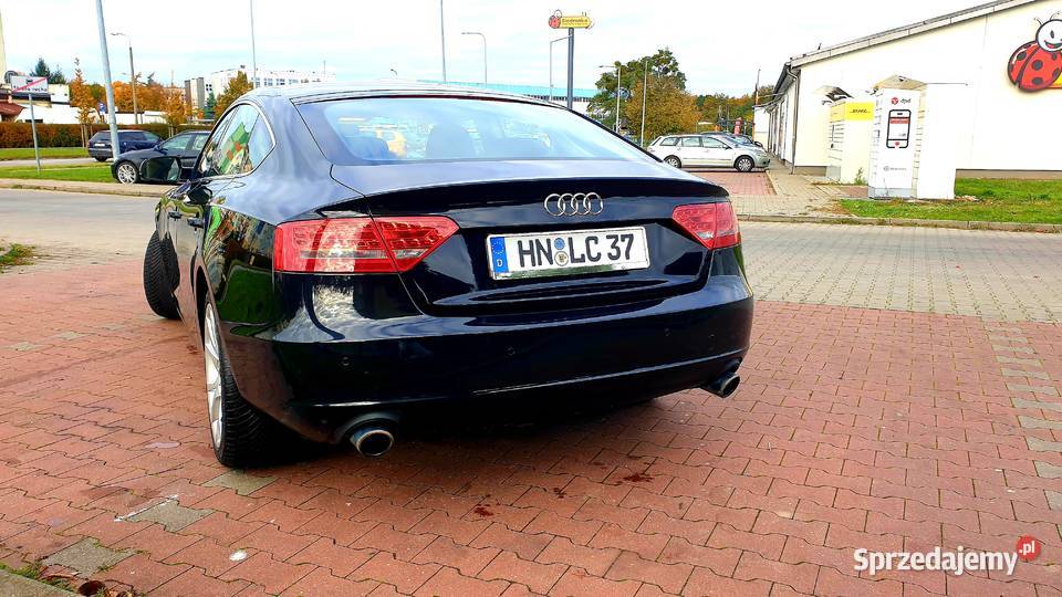 Na Sprzedaż Grudziądz