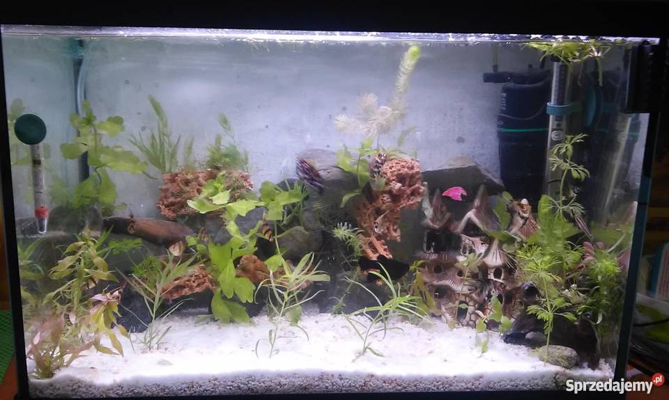 Akwarium 120 litrow wyposarzenie OKAZJA Krosno sprzedam