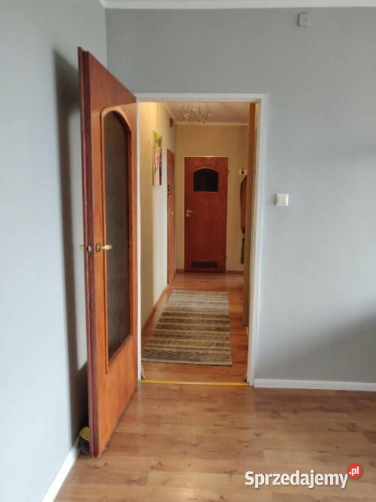 Mieszaknie z widokiem na Park Śląski Rok budowy 1980 Katowice