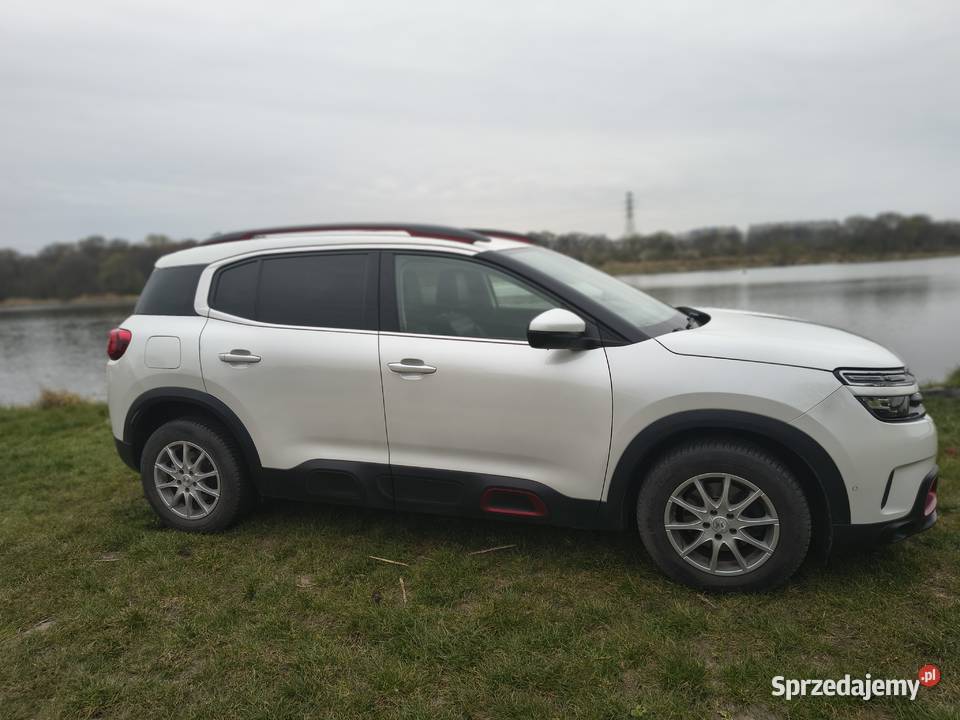 Citron C5 Aircross 20 BlueHDi Shine EAT8 Rok produkcji 2020 dolnośląskie Wrocław