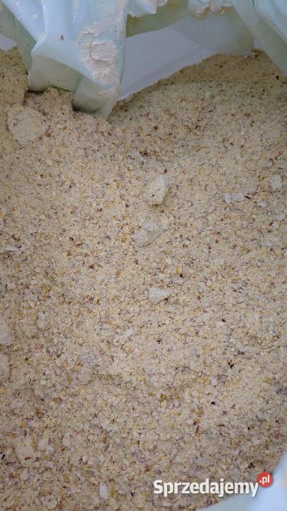 Kukurydza kiszona CCM big bag transport Grajewo