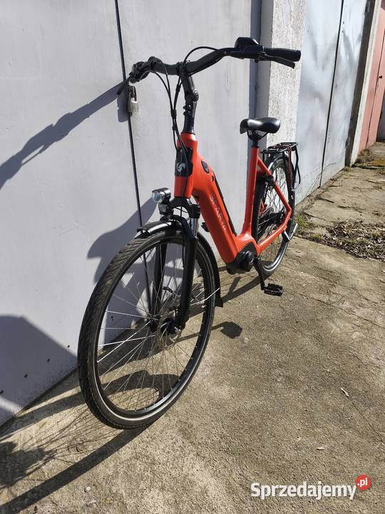 Sparta C Grid Engrey Inowrocław