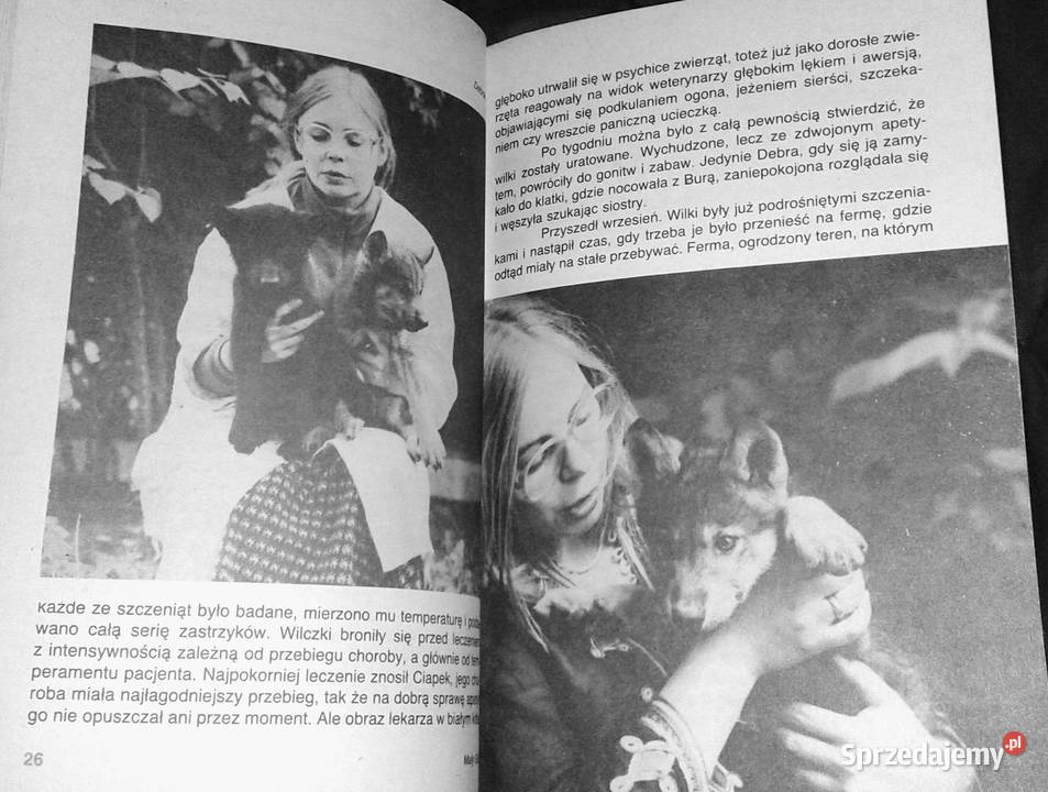 Pies czy wilk Krystyna Chwedeńczuk Pozostałe Chełm