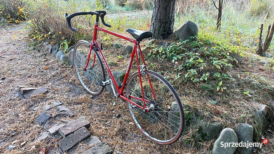 Rower Szosowy Peugeot Aubisque 12 Cad Szosa Wołów