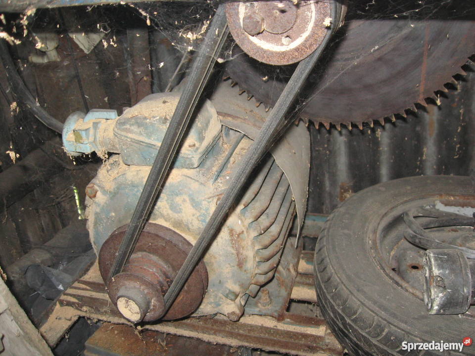 Piła stołowa duża śląskie