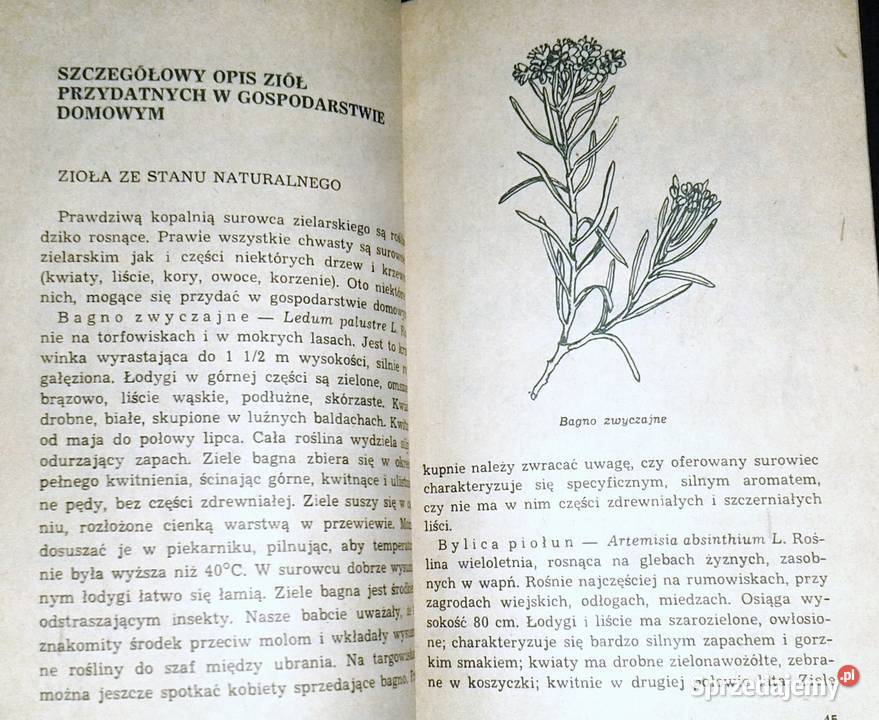 Zioła w gospodarstwie domowym Janina Obidzińska Chełm