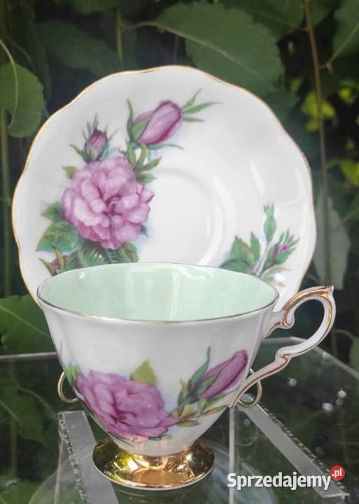 Piękne rzadkie zabytkowe róże Royal Standard Pabianice