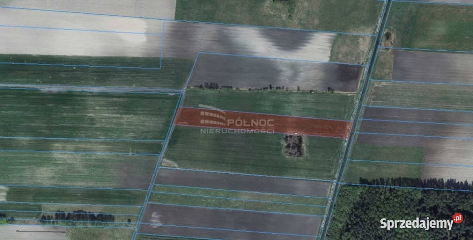 Działka rolna 7300m rzece Kolembrody lubelskie sprzedam