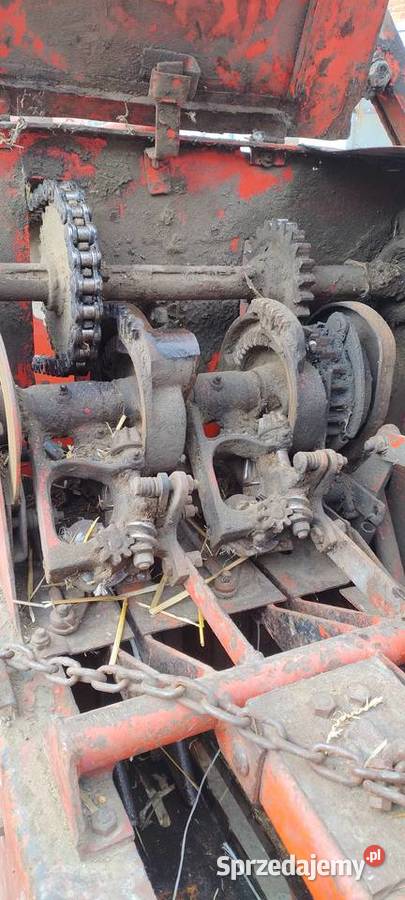 prasa Sipma łódzkie Załusin