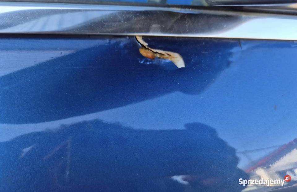 20 DRZWI PRZÓD PRAWY PRZEDNIE PRAWE AUDI A4 B6 Działoszyce