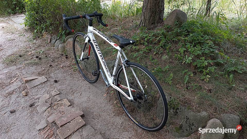 Alu Rower Szosowy Kolarka Szosa Specialized Szosowe dolnośląskie