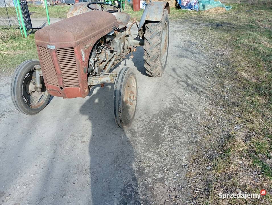 Sprzedam Fergusona TED 20