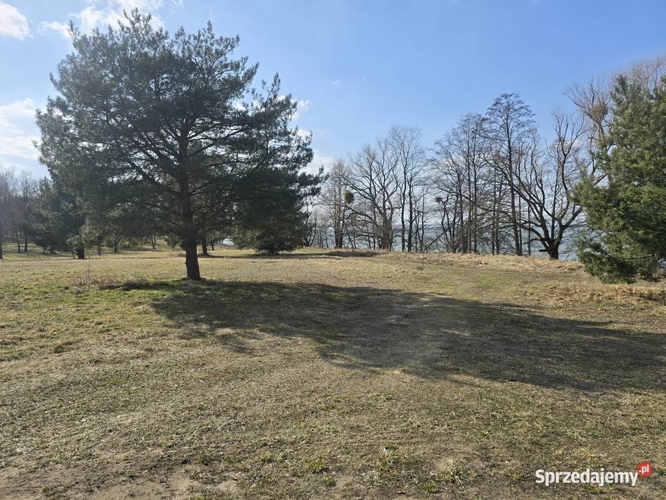 Linia brzegowa Śniardwy rolna warmińsko-mazurskie