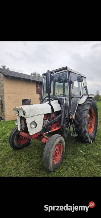 David brown 966 pomorskie