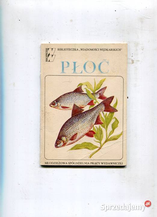 Okoń Leszcz Płoć Wiadomości wędkarskie Z wędką Pozostałe Szczecin