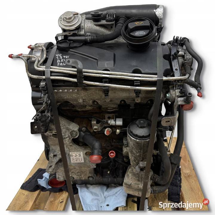 SILNIK BRU VW Golf V Plus Touran 19 TDI 90 osobowe Chełm