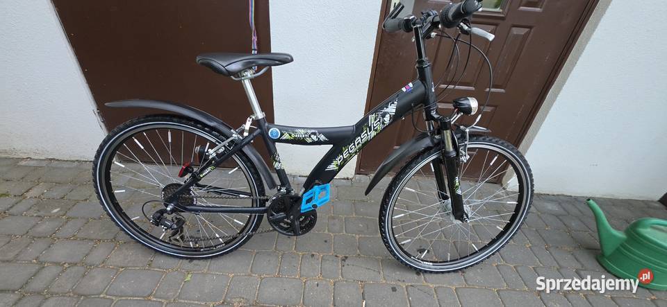 Rower mlodziezowy PEGASUS Avanti 26