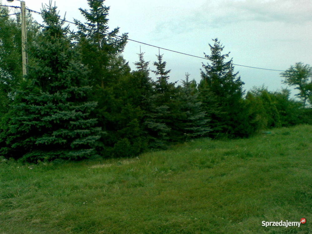 dom z dużą działką wolnostojący