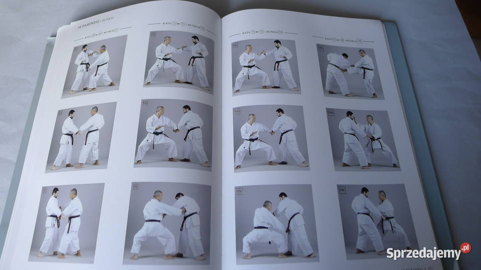 NAKAHASHI Shito Ryu Kata Karate Tanzadeh Demura Radom