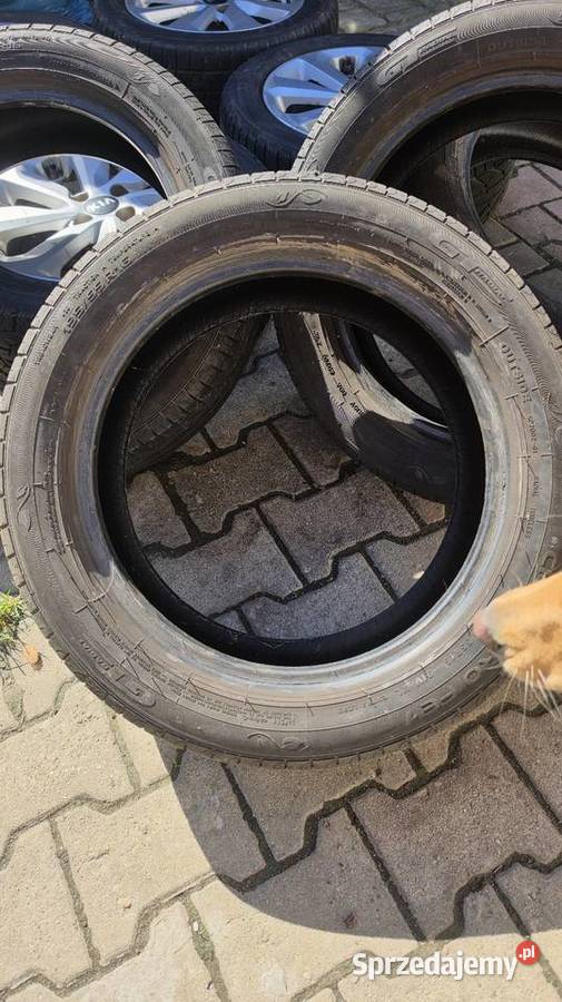 Opony lato 1955516 r 2020r Andrychów