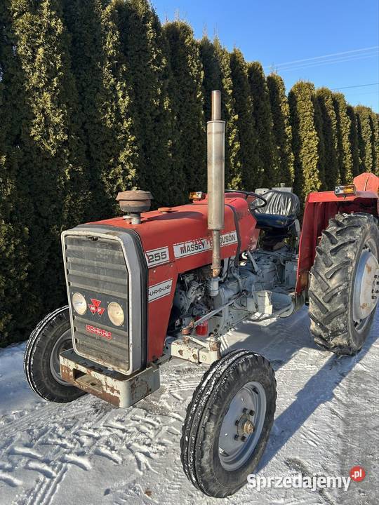 Massey Ferguson 255 Ursus 3512 MF 255 Chodel