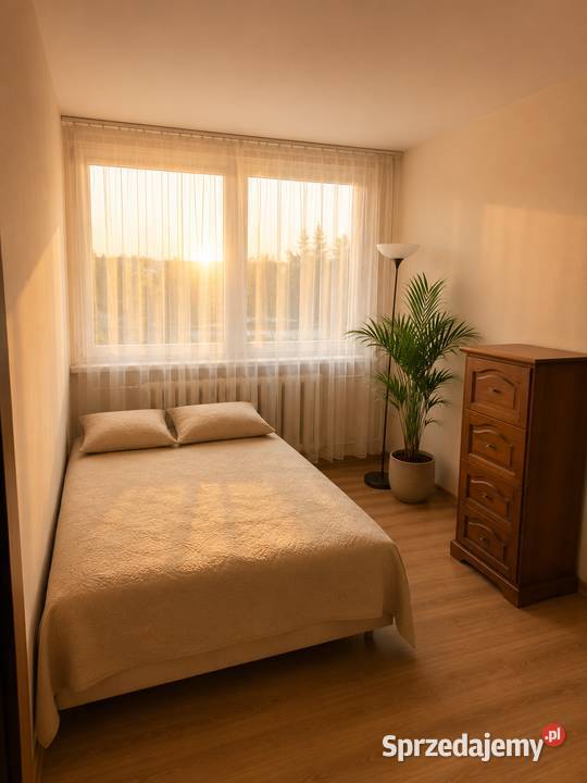 2pok 50met Romanowskiego BALKONPIWNICA Wrocław parter sprzedam