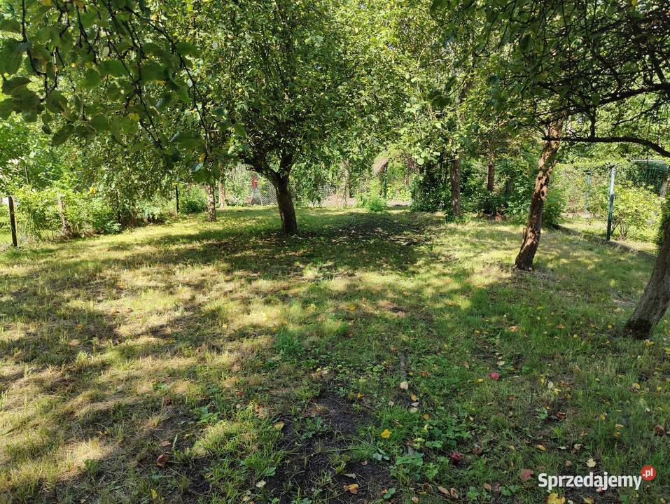 Działka ROD Urodzaj Gliwice 320m altana murowana 75zł/m2