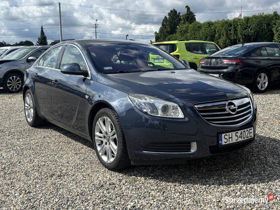 Opel Insignia bluetooth śląskie Paniówki