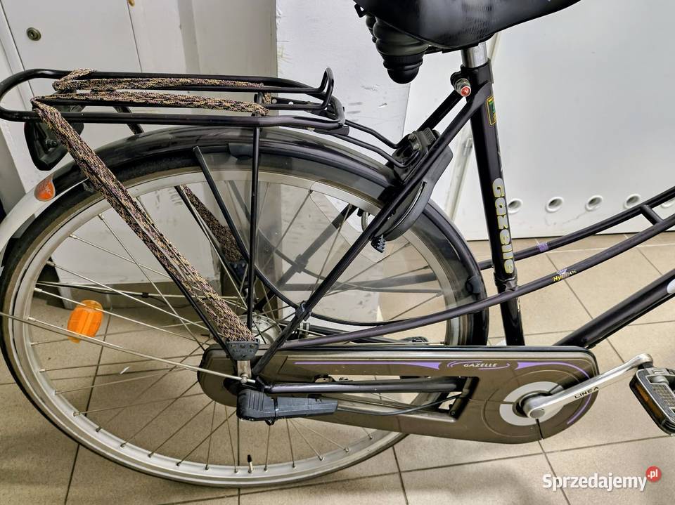 Rowery holenderskie Gazelle męski Esprit i kujawsko-pomorskie Toruń