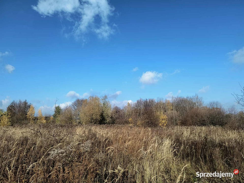 Grunt 3022m2 Dys 165zł/m2