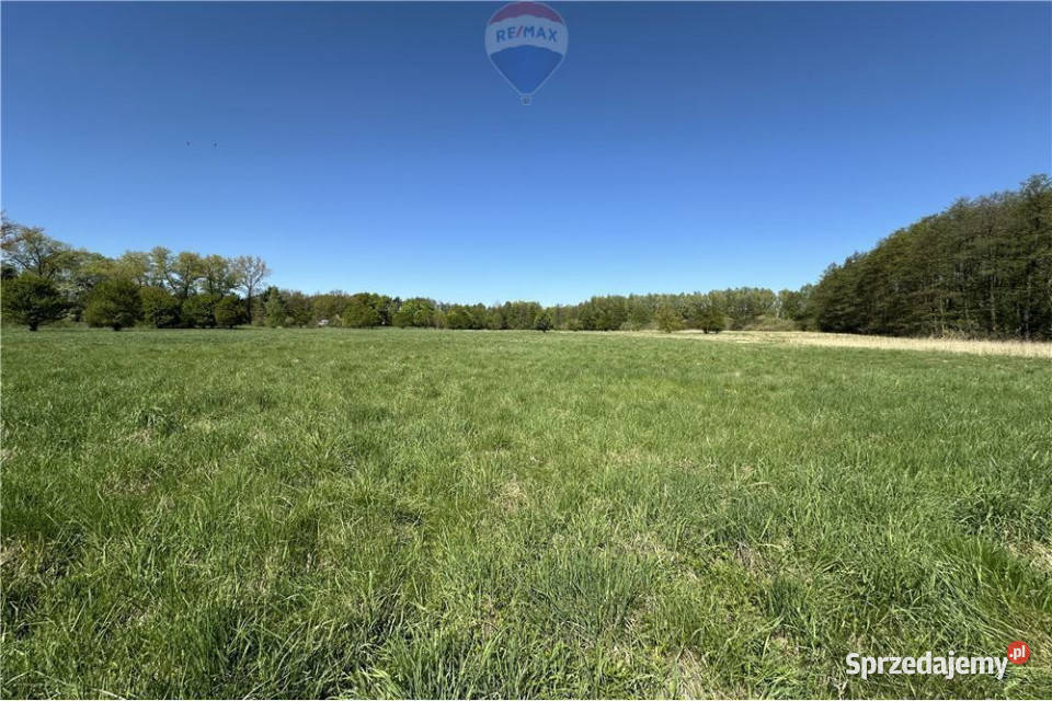 Tereny produkcyjno magazynowo usługowe DK 36