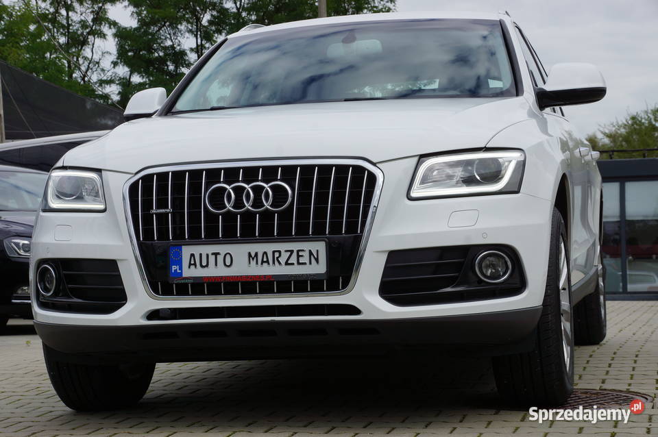 Audi Q5 20 TDI CR 150 Lift 4x4 Półskóra Mały manualna Nowy Sącz
