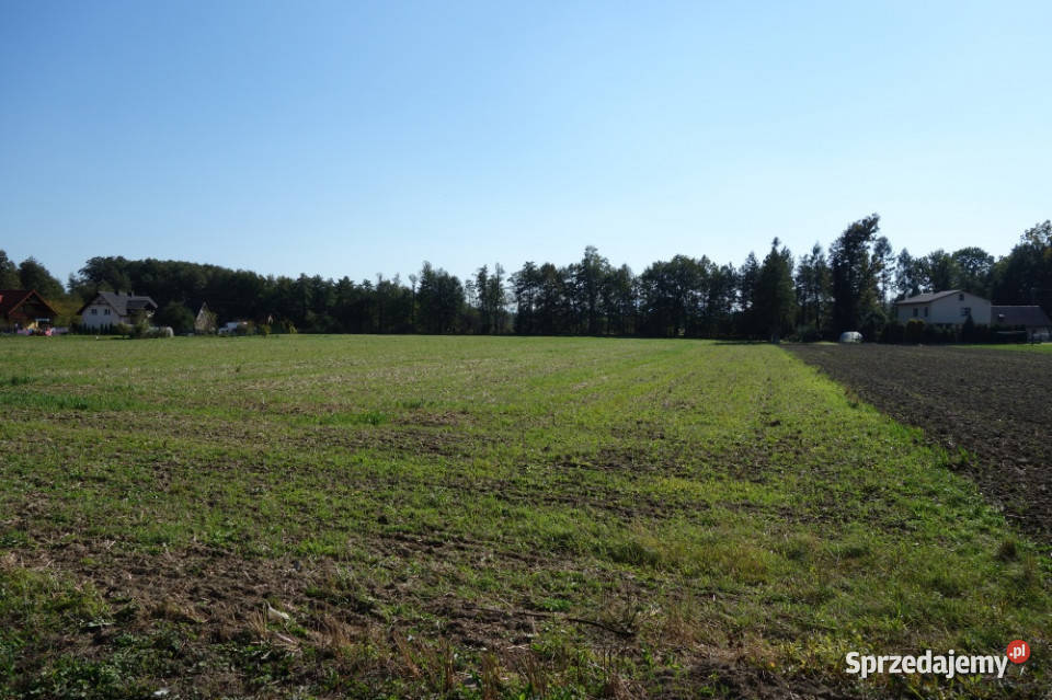 Skoczów Ochaby 32 ha z częścią budowlaną sprzedam