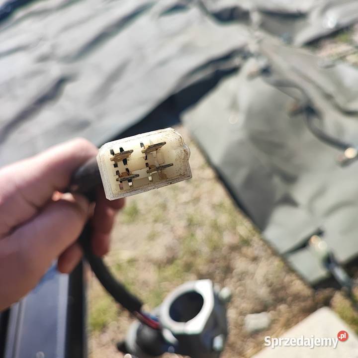 Stacyjka Tarpan Honker Andoria terenowe Zielona Góra