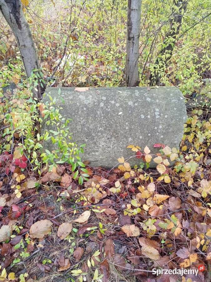 Dreny 15050 łódzkie Piotrków Trybunalski