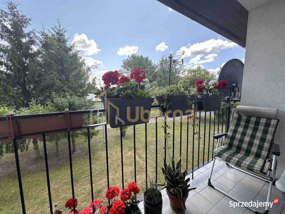 Mieszkanie 2pok Darż pod Maszewem na sprzedaż Piętro 1 zachodniopomorskie