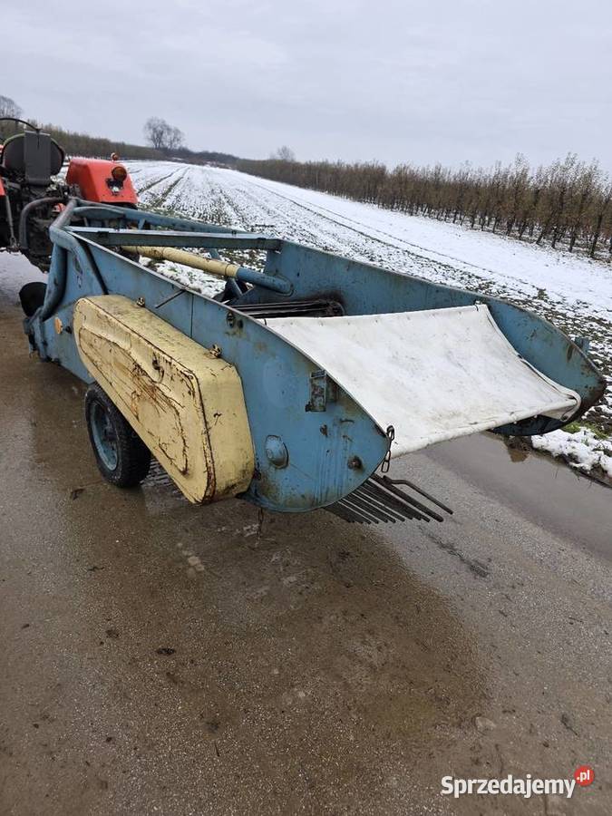 Kopaczka elewatorowa dwurzedowa do ziemniakow Samborzec
