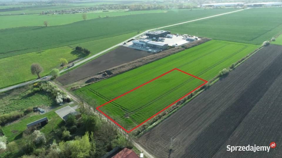 Działka 6000 m2 Milejowice Krajków Żórawina obok dolnośląskie sprzedam