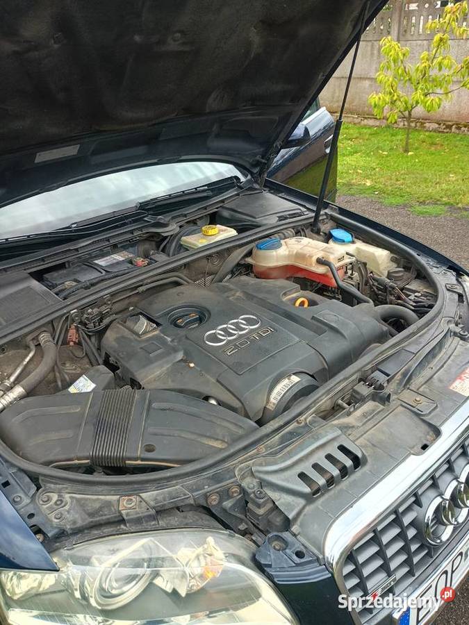 Audi A4B7 sline Skronina