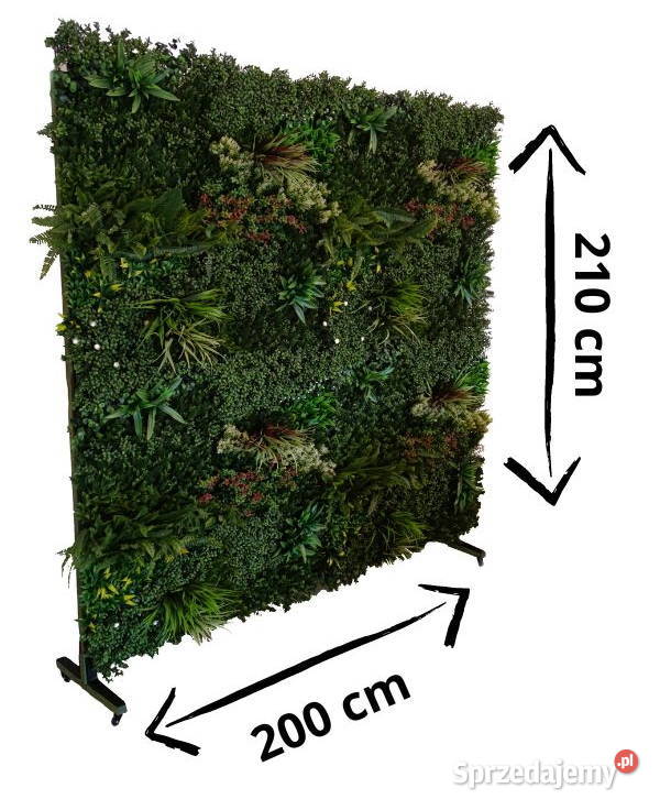 Zielona ściana Dekoracje weselne Ścianka do