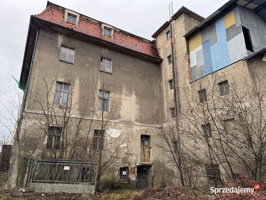 Syndyk sprzeda udział w działce zabudowanej opolskie Paczków