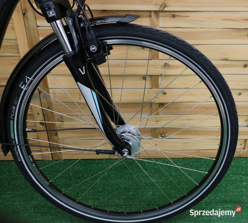 Rower elektryczny EVictoria D 46 I inne rowery