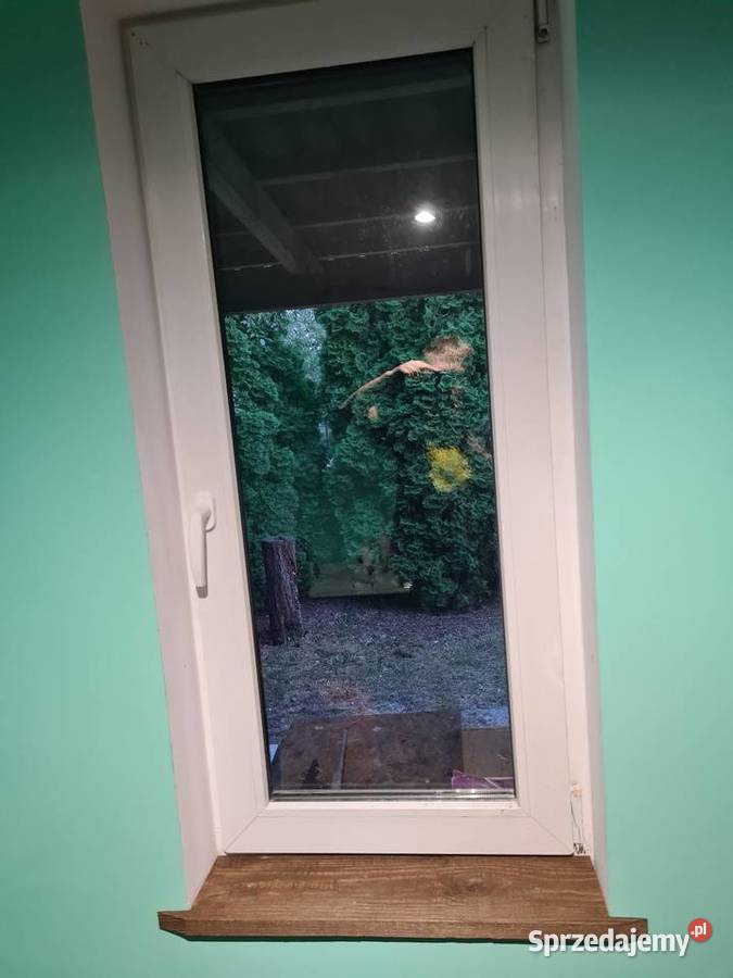 Działka ROD im J Kilińskiego w Staszowie Staszów sprzedam