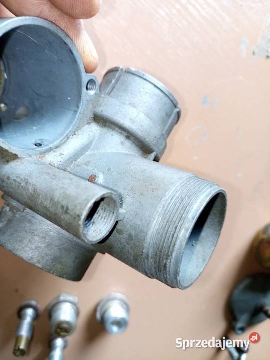 Panonia gaznik Stalowa Wola