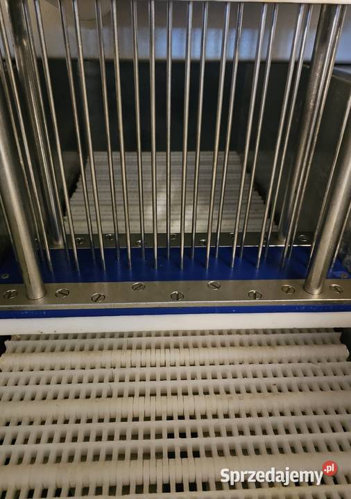 Nastrzykiwarka Gnther PI26 z filtrem solanki w Toruń