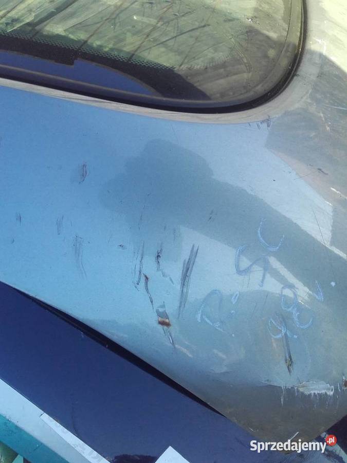 Renult Scenic 1 klapa tylna z szybą osobowe Łódź